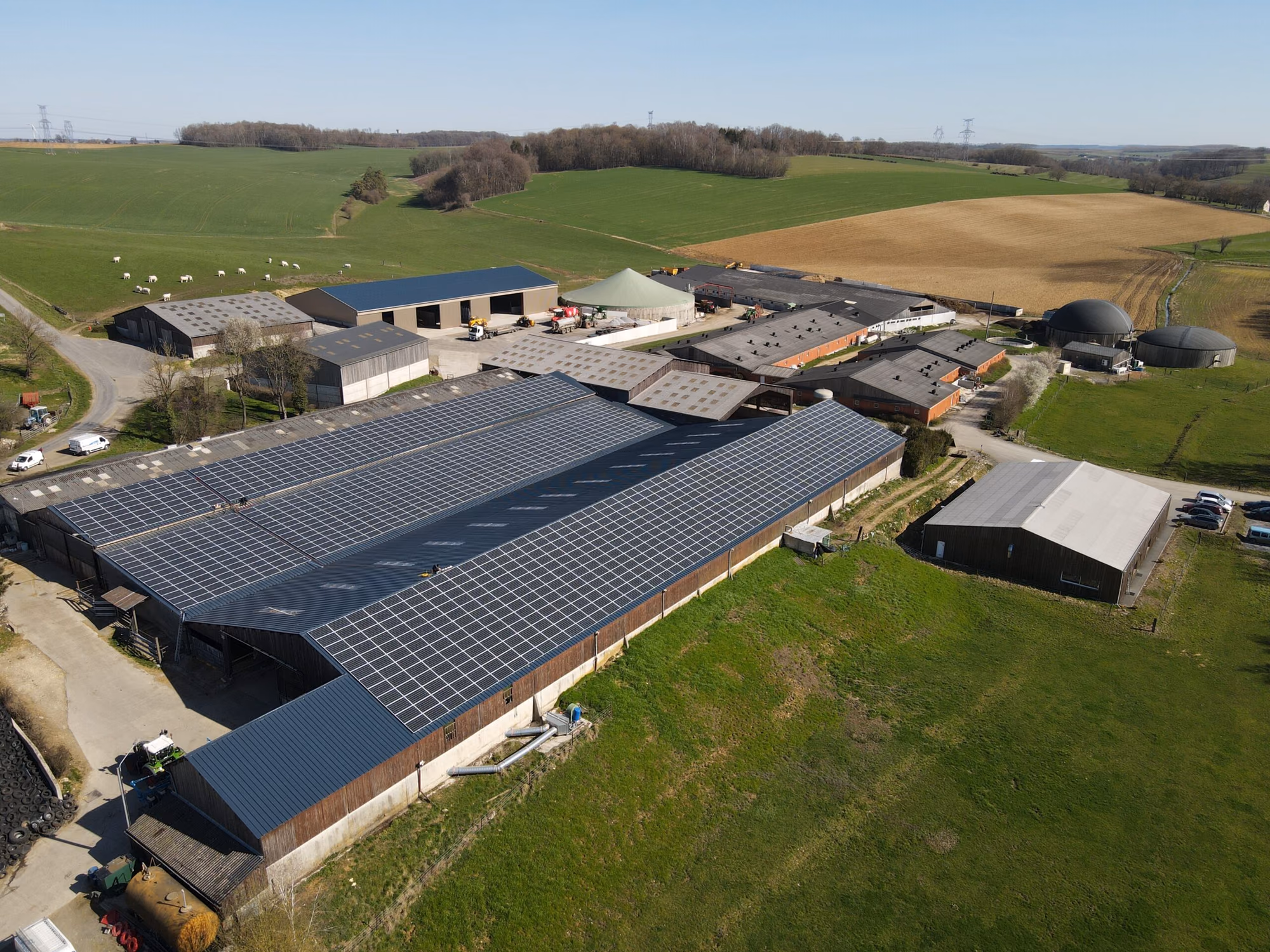Panneaux solaires sur un bâtiment agricole