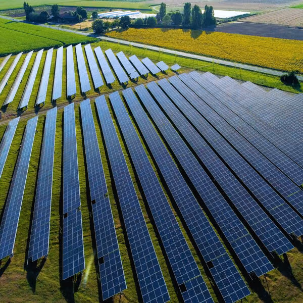 Centrale photovoltaïque installée au sol